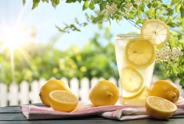 A glass of lemonade surrounded by lemon. 