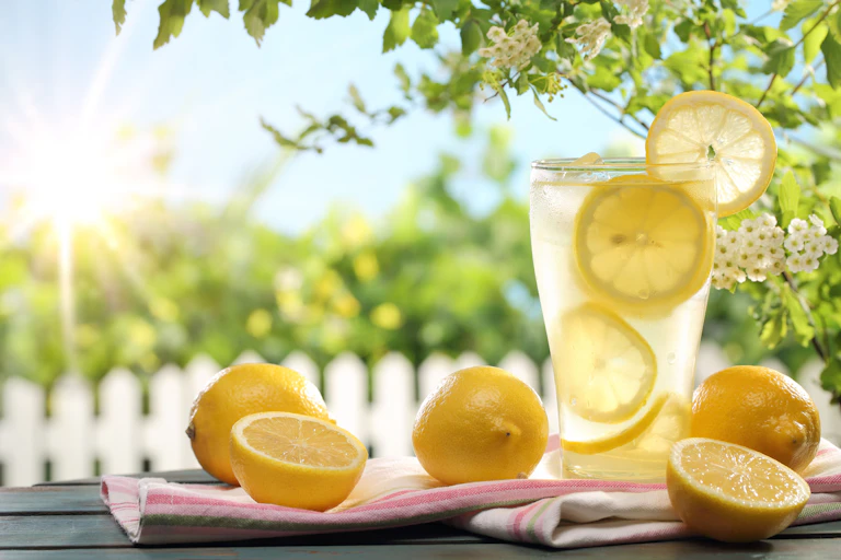 A glass of lemonade surrounded by lemon.