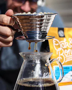 a man wearing a blue shirt watches as he makes a coffee pourover