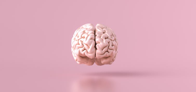 A brain on a pink background