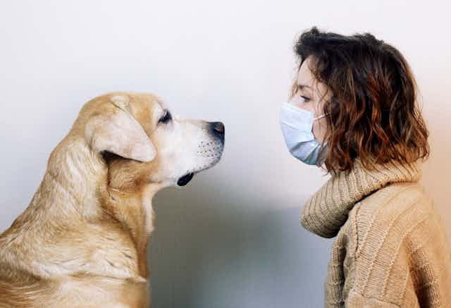 Un chien et une femme masquée se font face.