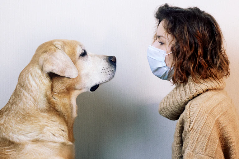 Un chien et une femme masquée se font face.