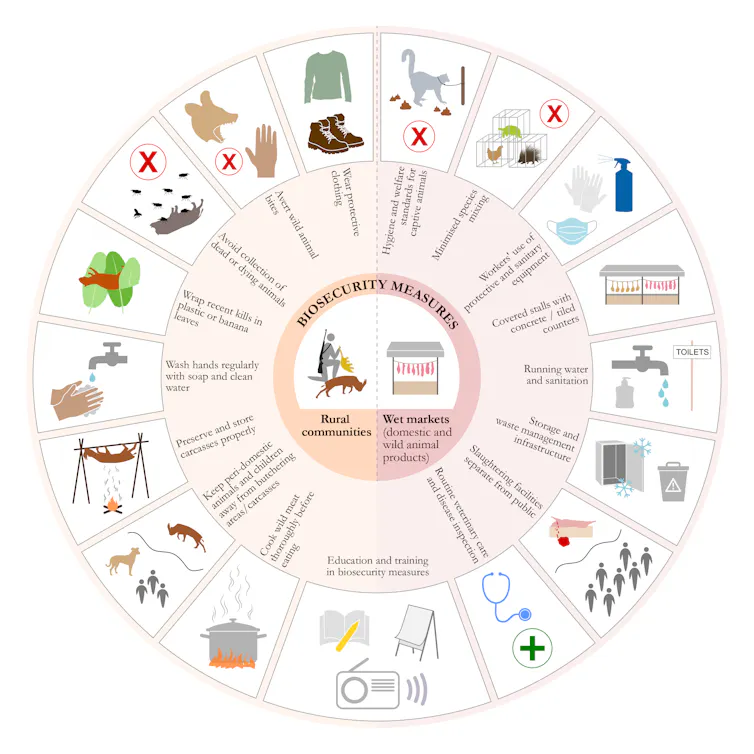 Infographic showing biosecurity measures for rural communities and wet markets.