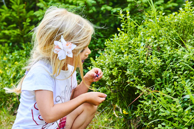 Une petite fille cueille des myrtilles dans la forêt