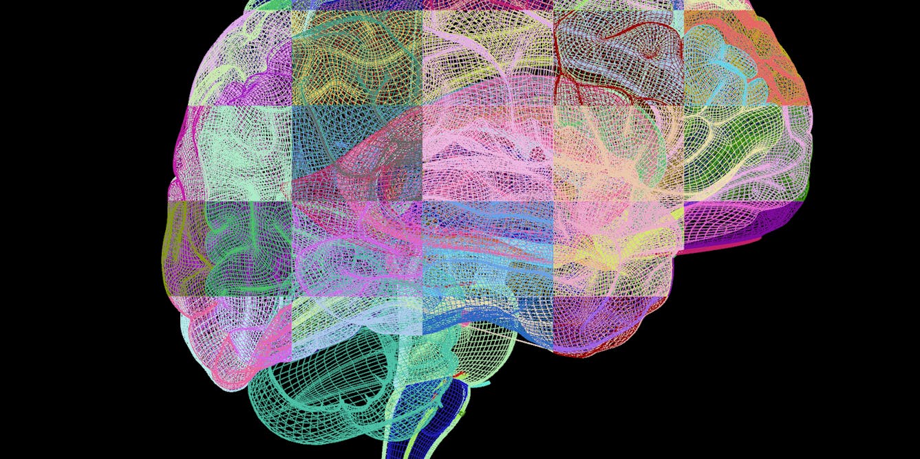 Colored brains. Активность мозга. Интеллект анимация. Brain Art.