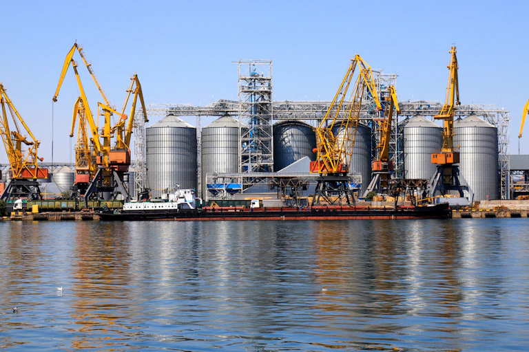 Silver grain silos and yellow cranes.
