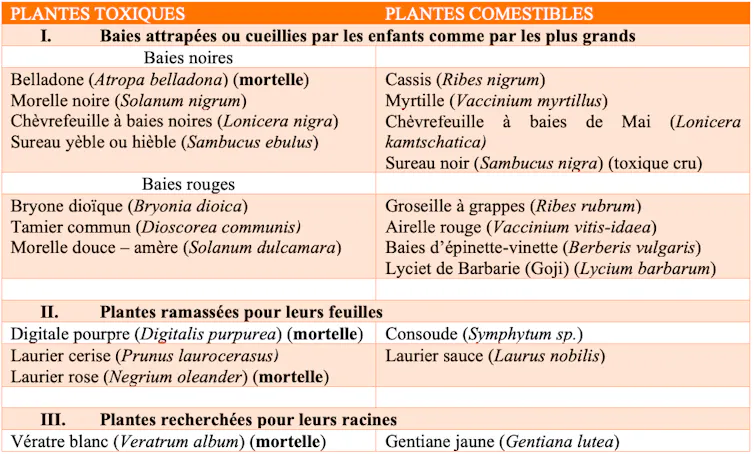 Résumé des principales plantes toxiques par ingestion qui font l’objet d’appels aux Centres antipoison pendant la période estivale
