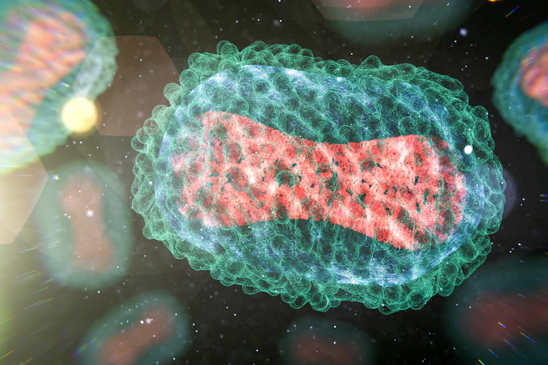 An oblong viral particle.