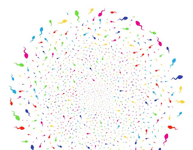 dessin de spermatozoïdes multicolores en cercle