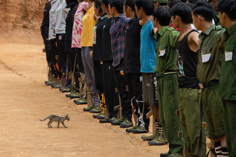 A cat walks in front of a row of men holding guns. Only their bodies are shown.