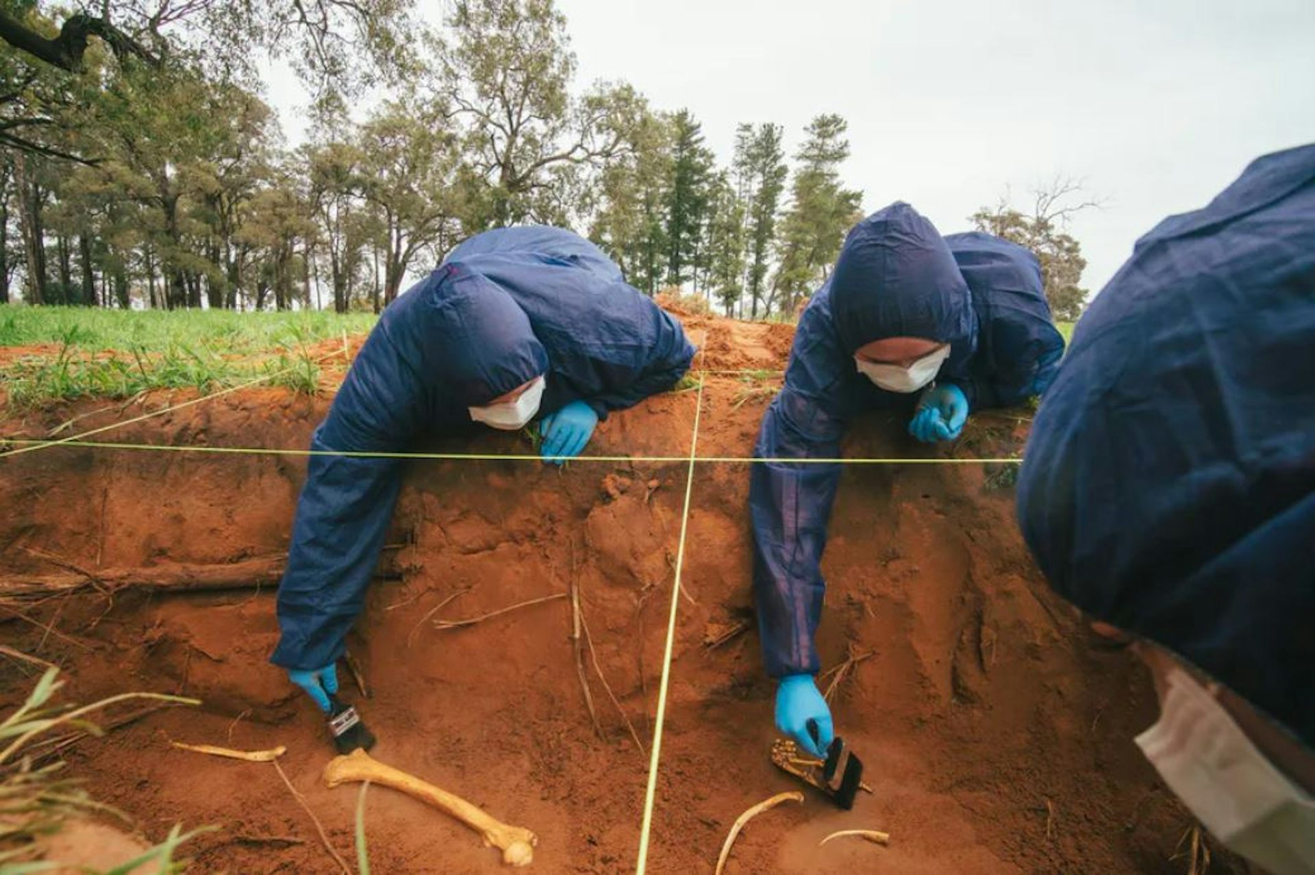 Bagaimana ilmuwan forensik polisi menyelidiki sebuah kasus kriminal? Ahli pemulihan kuburan rahasia menjelaskan