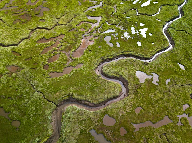 An aerial image of a coastal wetland with ponds and flowing water.