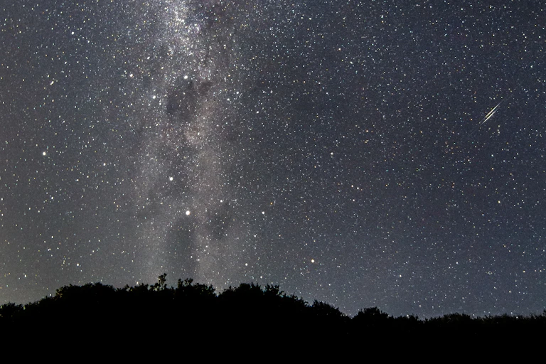Photo of a starry night sky, flanked with a silhouette of trees at the bottom