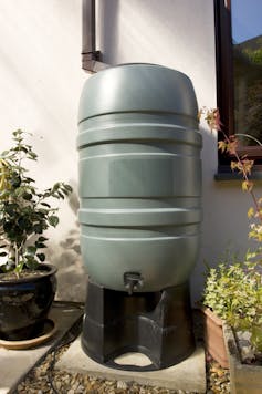 A green, plastic barrel connected to a black draining pipe and stood in a garden.