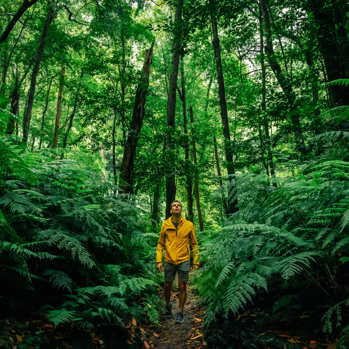 Do Humans Really Need Other Species