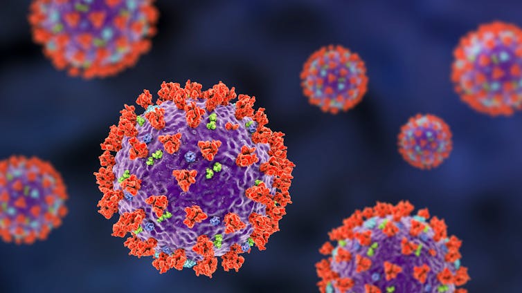 An illustration of SARS-CoV-2, the coronavirus that causes COVID-19.
