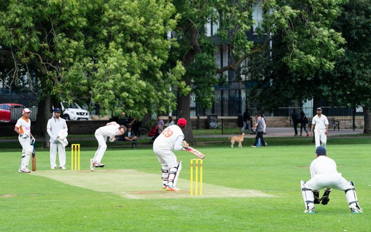 A group of men playing cricket on a lush grassy pitch.