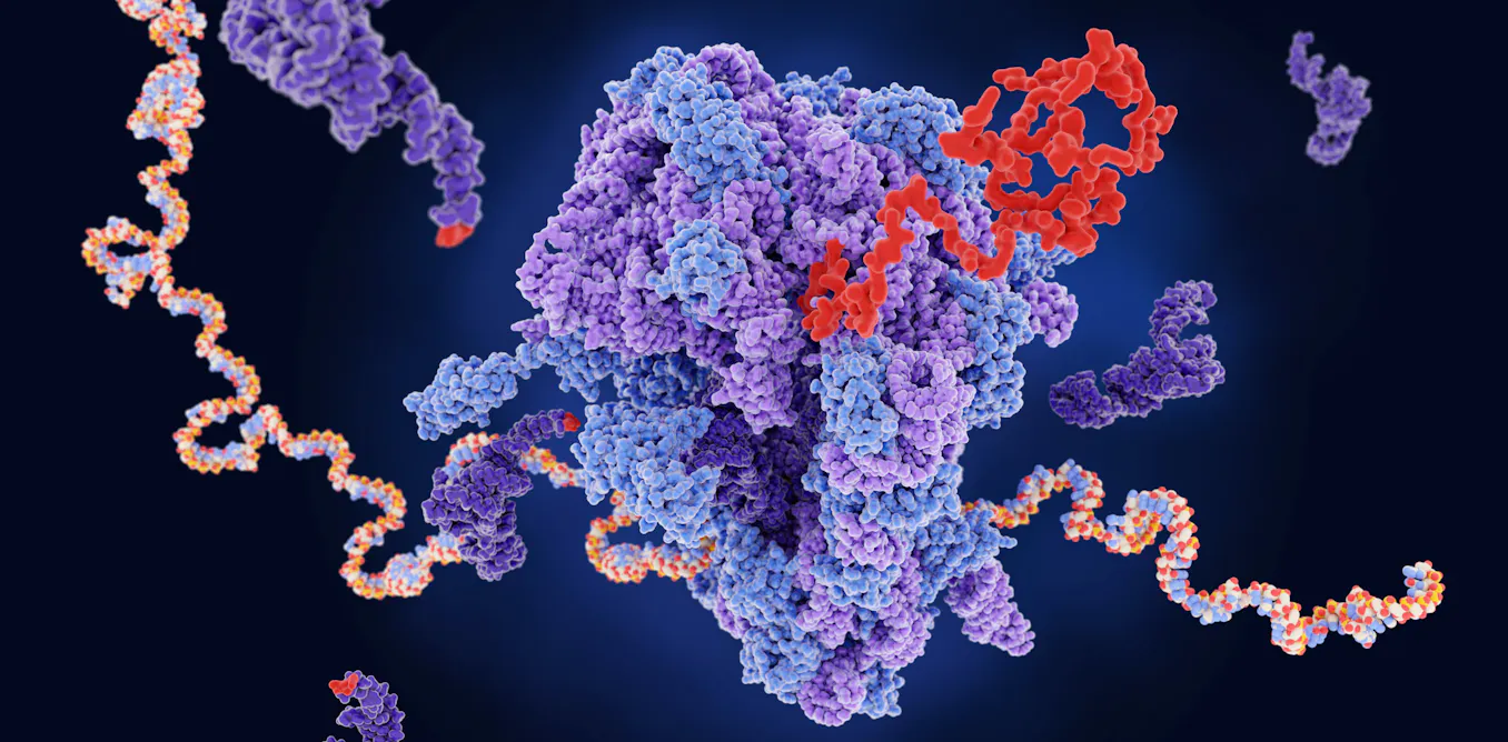 Protein Factory Cell Helping cells become better protein factories could improve gene ...