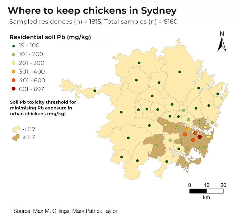 Map of Sydney showing areas of high and low lead risk for backyard chickens