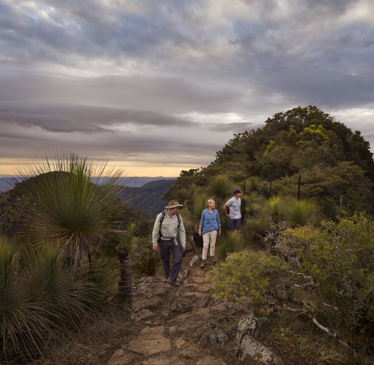 three bushwalkers traverse a green ridge