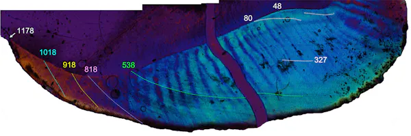 Revelations from 17-million-year-old ape teeth could lead to new ...