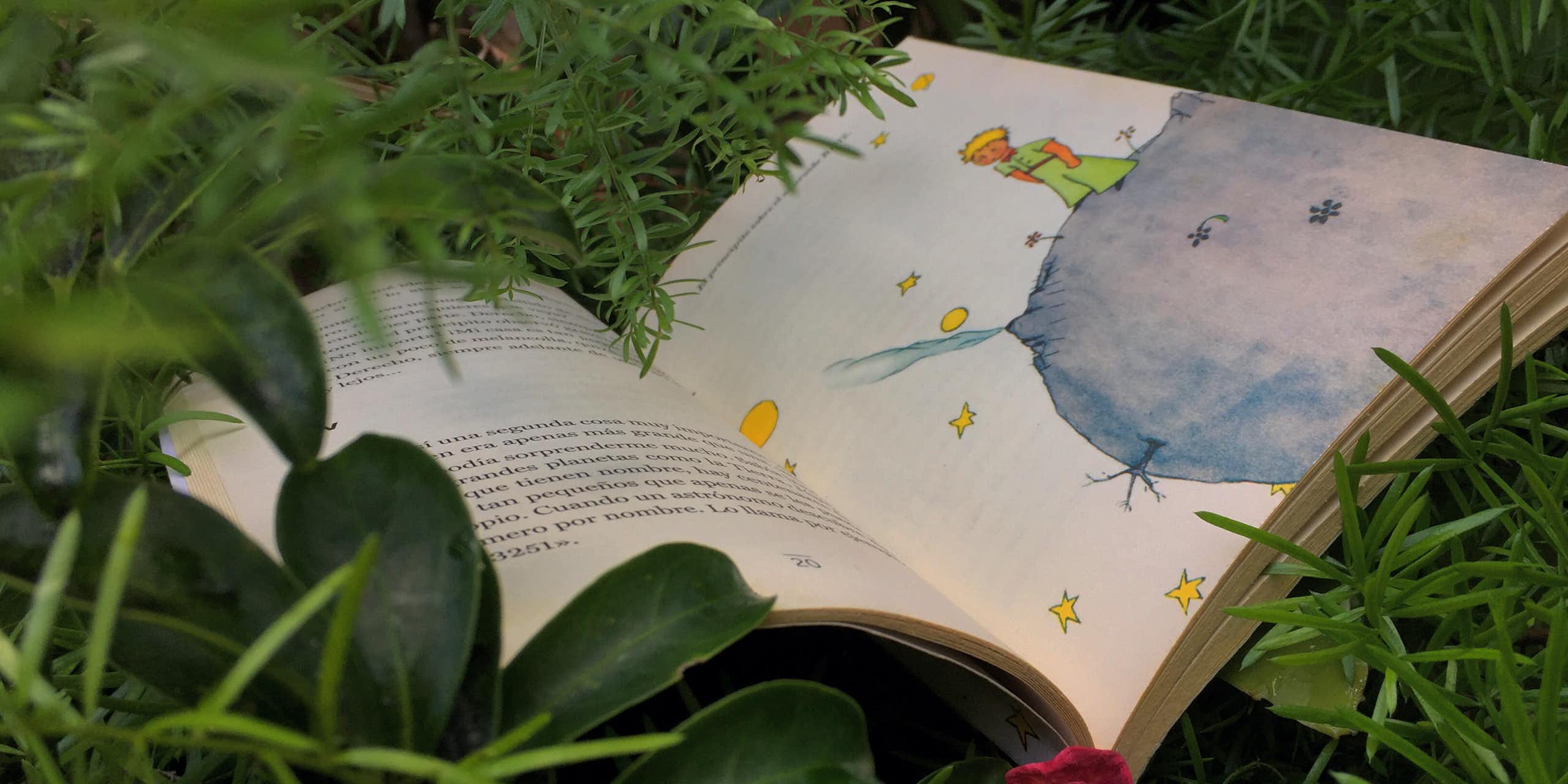 Le livre _Le Petit Prince_ ouvert dans l'herbe