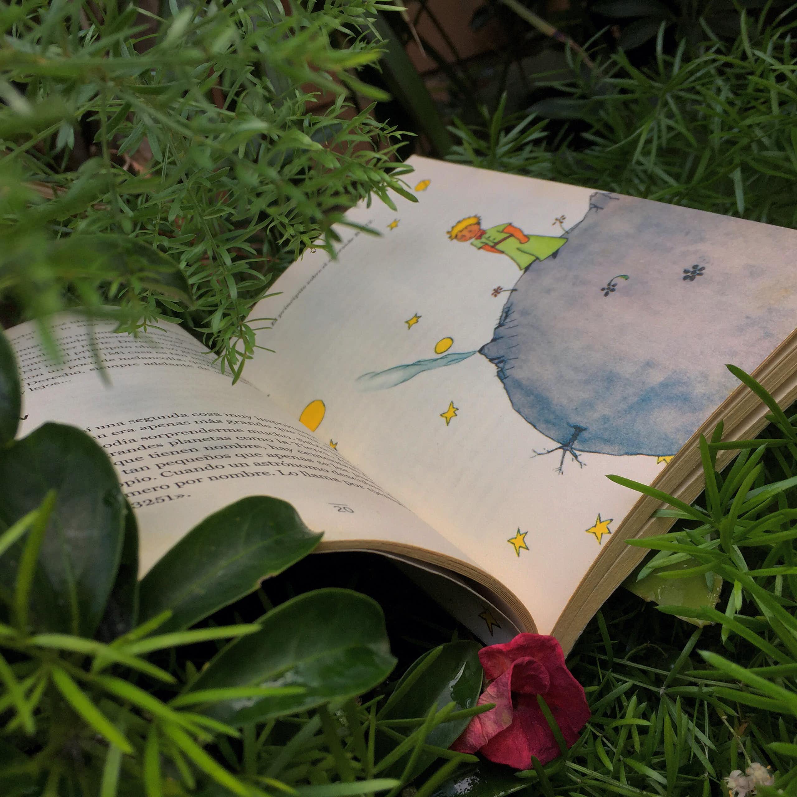 Le livre _Le Petit Prince_ ouvert dans l'herbe