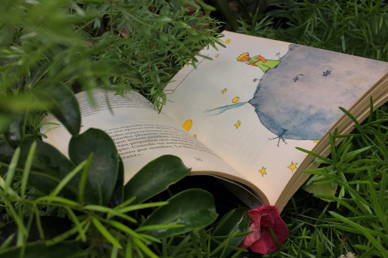 Le livre _Le Petit Prince_ ouvert dans l'herbe