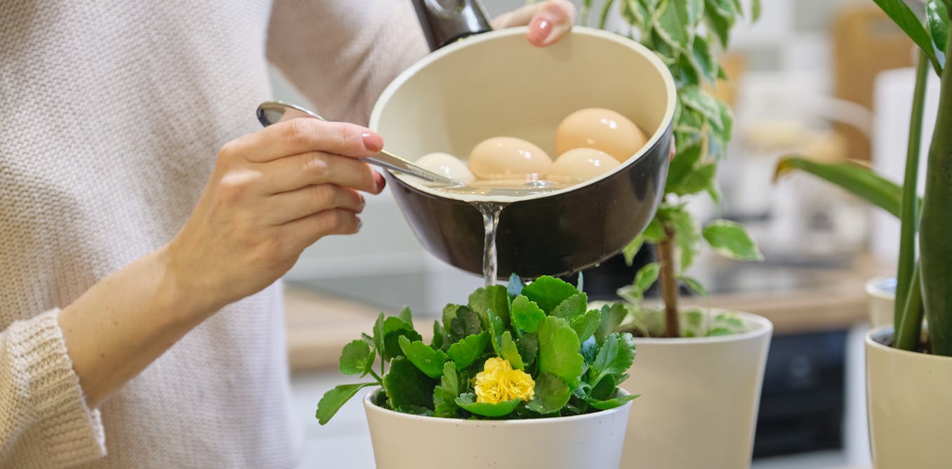 Five easy ways to use less water at home – and not just in a drought