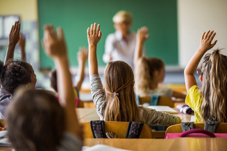 Back of students with hands raised in a classroom.