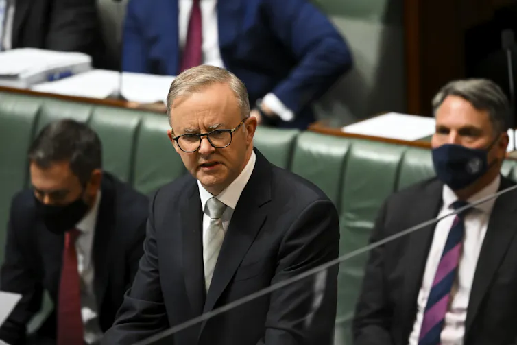 Anthony Albanese in question time