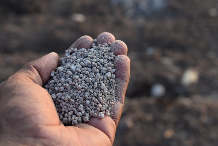 Hand with fertiliser