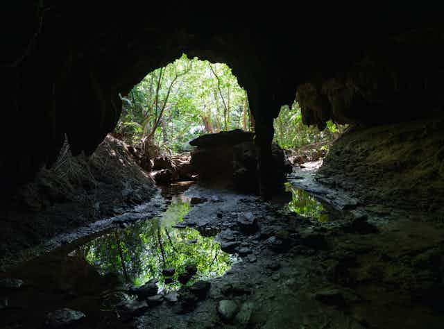An opening to a cave is viewed from within. Water is pooled on the ground and green shrubbery is visible outside