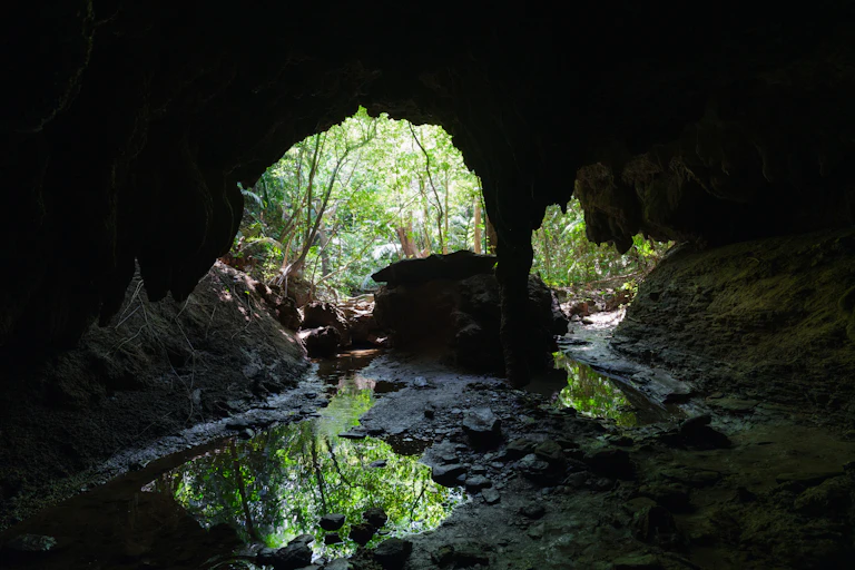 An opening to a cave is viewed from within. Water is pooled on the ground and green shrubbery is visible outside