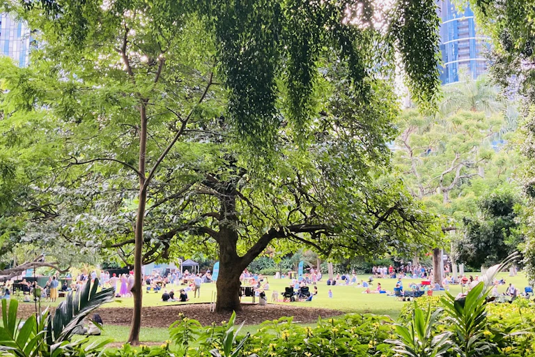 Many people gathering together on a lawn in a public garden