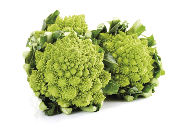 Gambar tanaman brokoli Romanesco dari dekat yang menunjukkan pola fraktal pada kuncup
