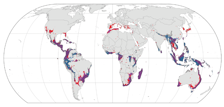 A map of the world with some areas shaded.