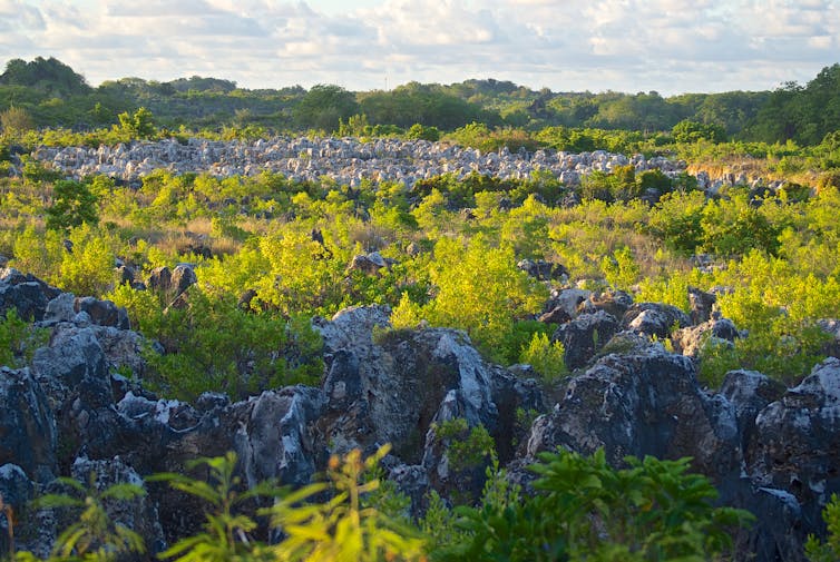 exhausted phosphate mine Nauru