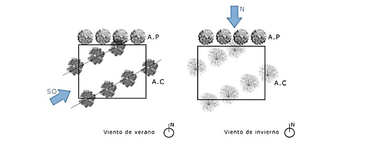 Esquema de colocación de los árboles en línea formando corredores de viento