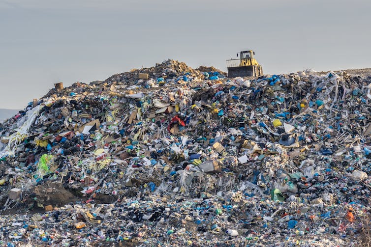 Fast fashion: why your online returns may end up in landfill – and what can  be done about it