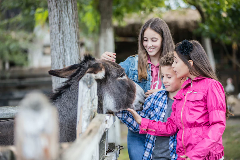 Niños acariciando a un burro.