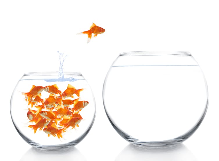 Fish jumping from crowded fishbowl into a bigger empty fishbowl