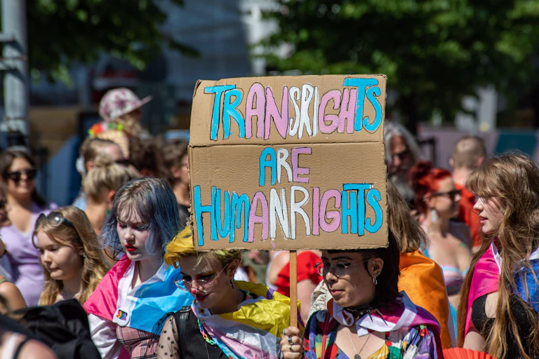 A person holds a cardboard sign reading Trans rights are human rights, painted in blue, pink and white, the colours of the trans pride flag.