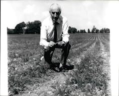 Man in dry field