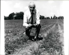 Man in dry field