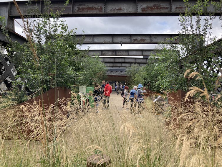 Steel beams cross over a planted walkway on a bridge platform.