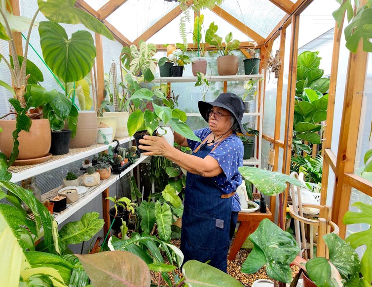 Older woman working in a greenhouse