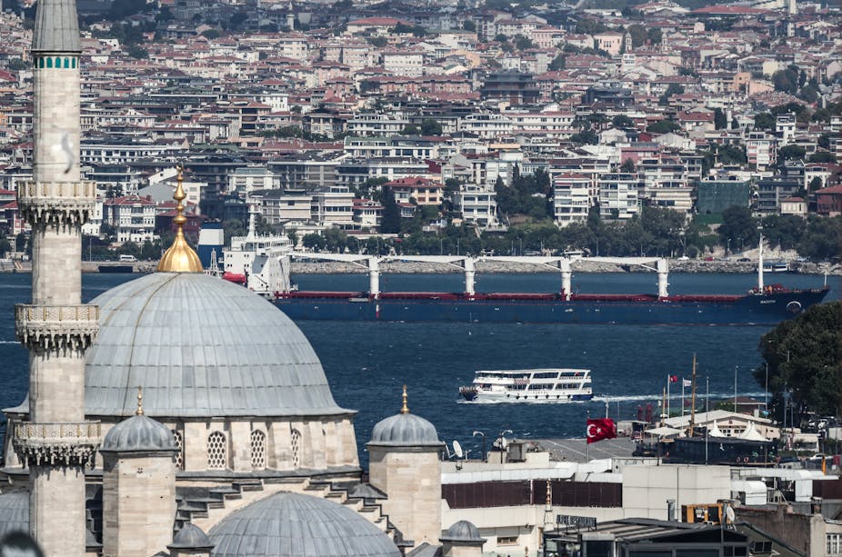 Sierra Leone-flagged cargo ship Razoni arriving in Istanbul en route to Lebanonn.