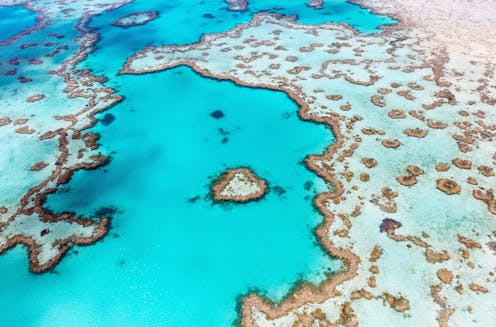 Record coral cover doesn't necessarily mean the Great Barrier Reef is in good health (despite what you may have heard)