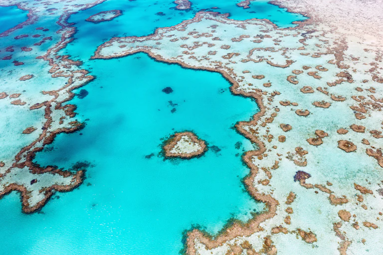 Aerial view of a reef